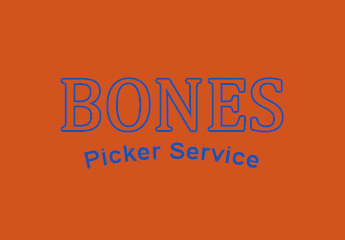 Bones Picker Service